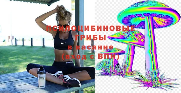 амф Никольск
