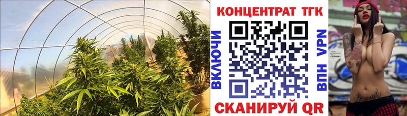хочу наркоту  Ялта  ТГК концентрат 