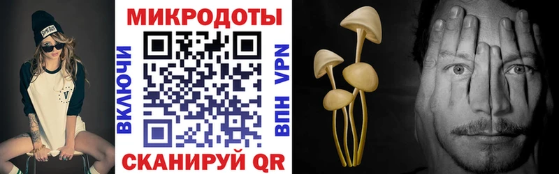 blacksprut ONION Ялта Псилоцибиновые грибы ЛСД