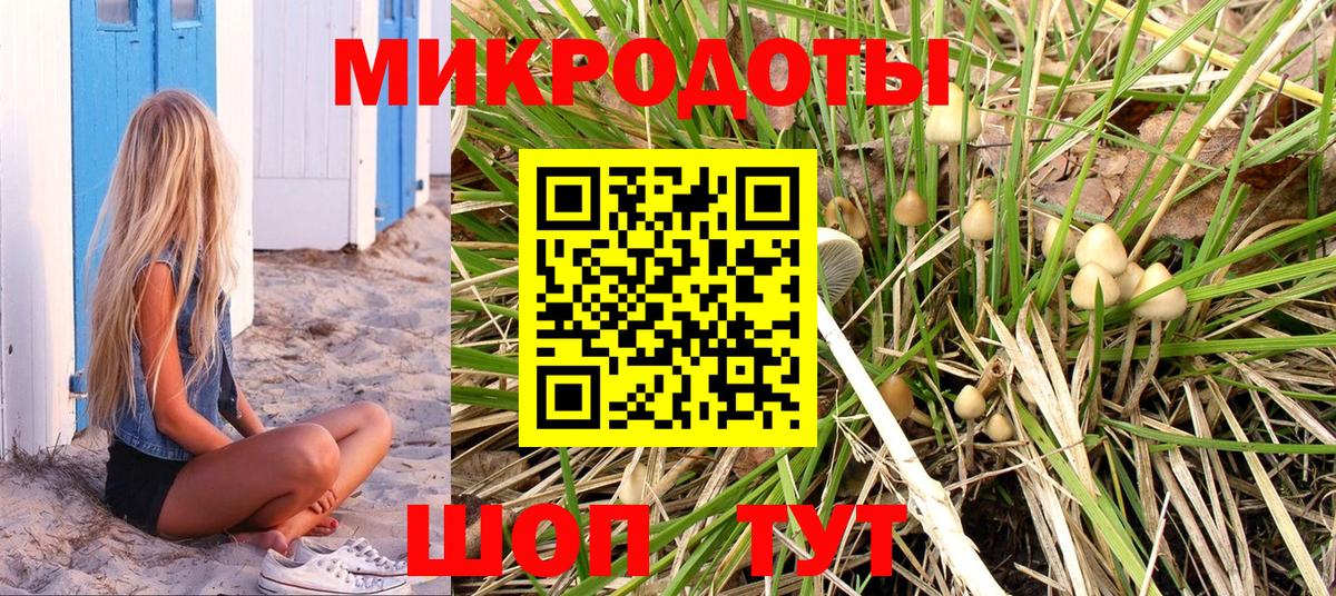 Галлюциногенные грибы Psilocybine cubensis  цена   Ялта  Вход с VPN 
